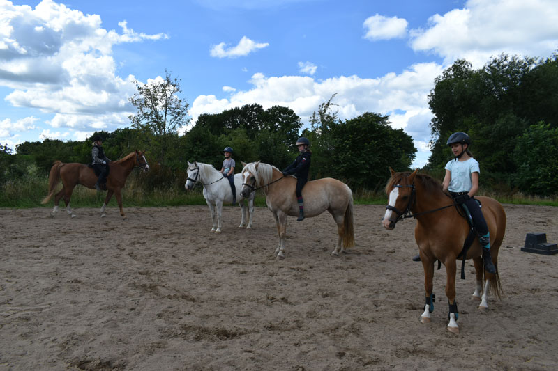Reitschule-am-ententeich-gruppenunterricht-reitunterricht